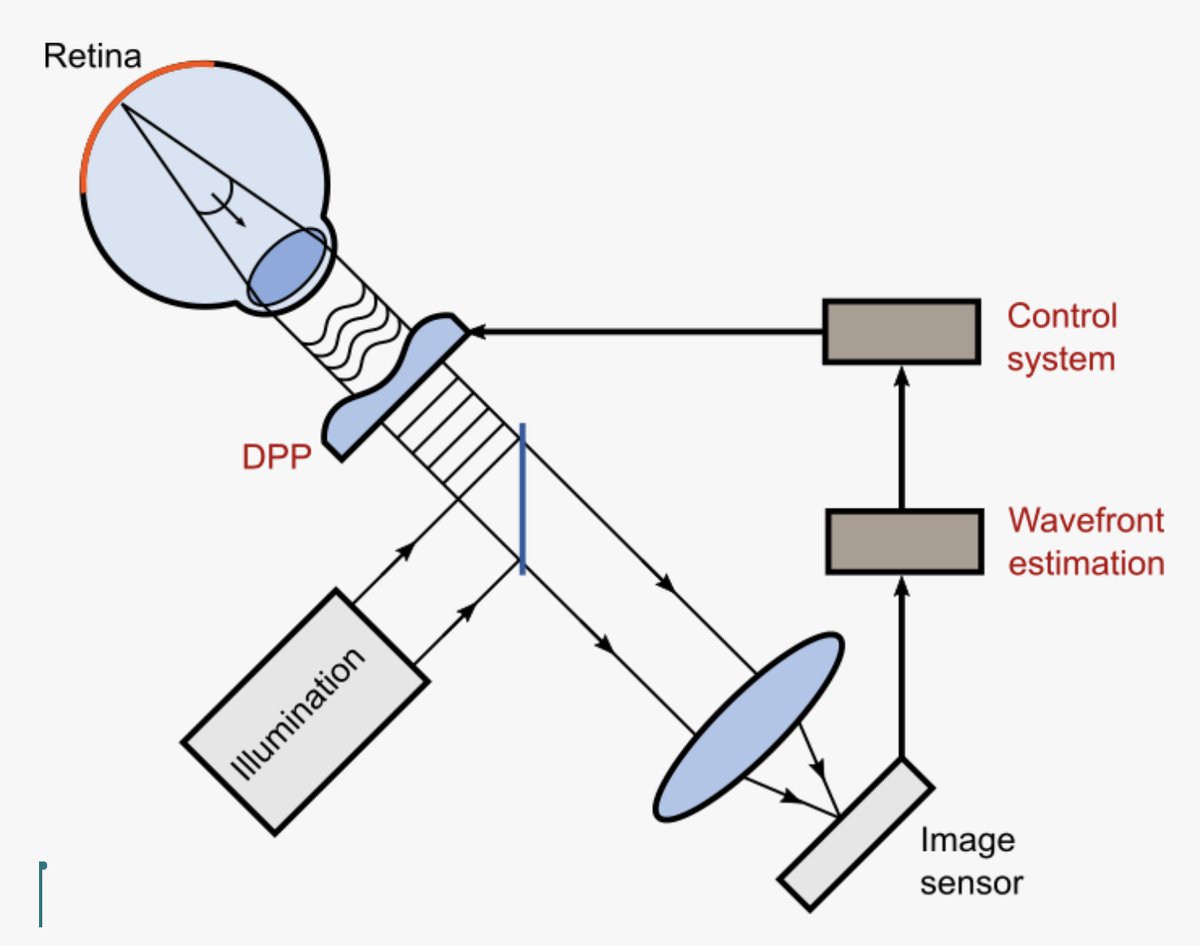 Schematic of an adaptive-optics ophthalmoscope: illumination reflects off the retina, the aberrated wavefront passes through the Deformable Phase Plate, and a lens forms an image on the sensor, whose wavefront estimate drives the control system back to the DPP.