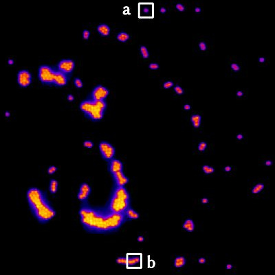 The same field of fluorescent microspheres with PHI correcting: each bead resolves as a compact, bright sphere