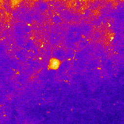 The same field with Phinden’s correction applied