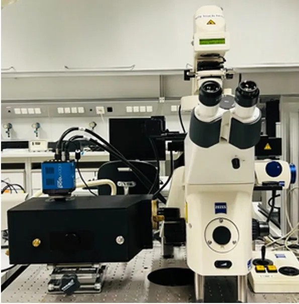 Phaseform adaptive optics on the camera port of a ZEISS Axiovert 200M at the Life Imaging Center, University of Freiburg