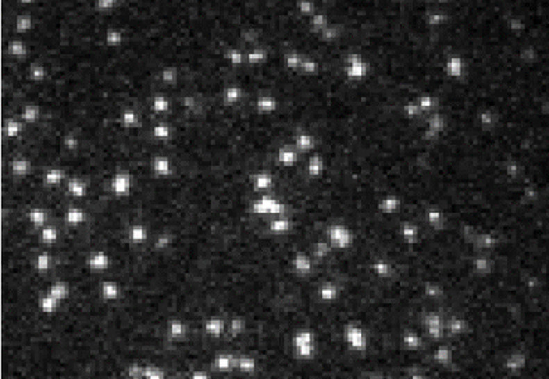 The same sample with PHI correcting the aberration during acquisition