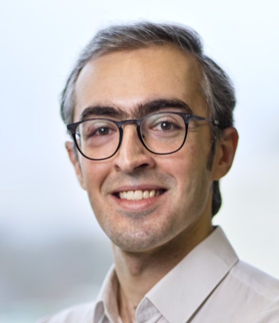 Dr. Pouya Rajaeipour